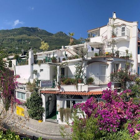 Hotel La Maggioressa Casamicciola Terme Dış mekan fotoğraf