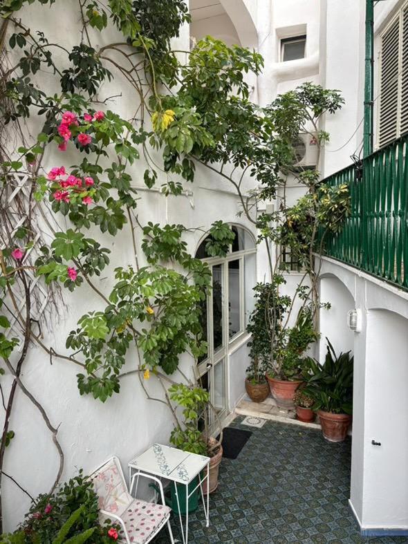 Hotel La Maggioressa Casamicciola Terme Dış mekan fotoğraf