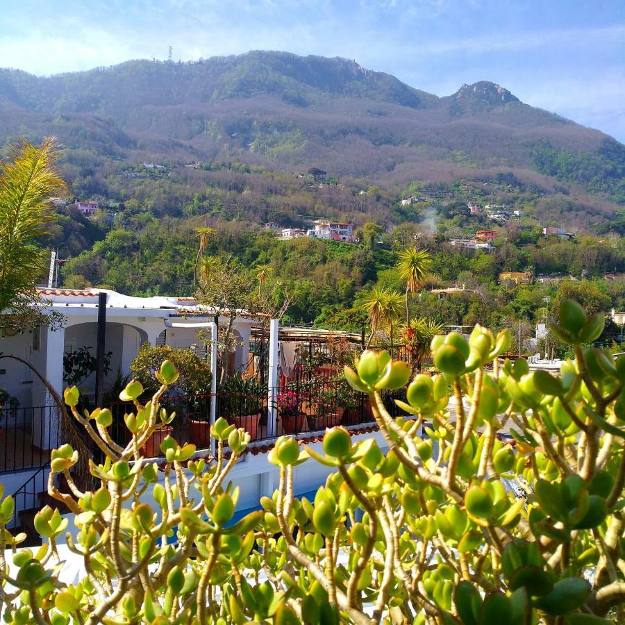 Hotel La Maggioressa Casamicciola Terme Dış mekan fotoğraf